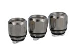 Vapanion GT Mesh 018 Ohm Heads 3 Stuck hinten 1.jpg