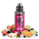 Big Bottle Einfach Fruchtig Frisch Longfill Aroma 10 ml